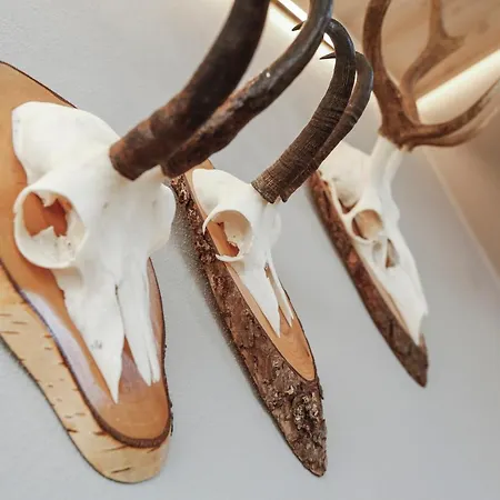 Fruehstueckspension Sonnblick Bed & Breakfast